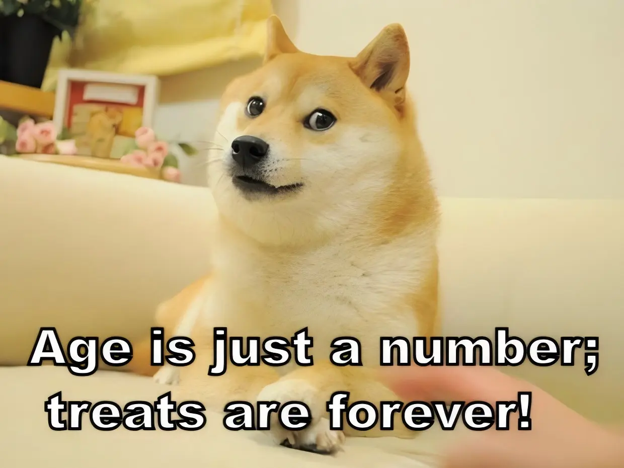 Dog Memes for Dog Lovers: The Best Birthday Wishes