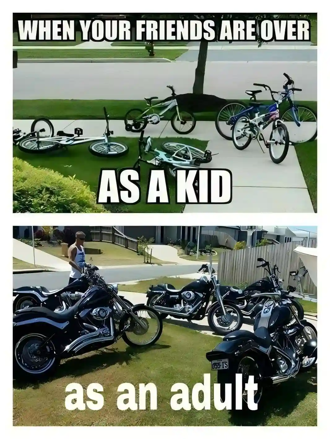 Bike Memes as a Cultural Connector