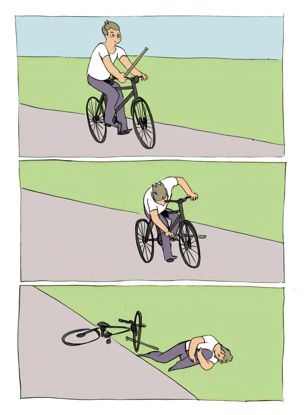 bike stick meme