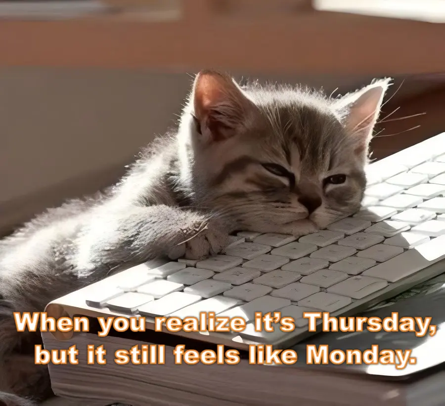 Funny Thursday Work Memes: When you realize it’s Thursday, but it still feels like Monday