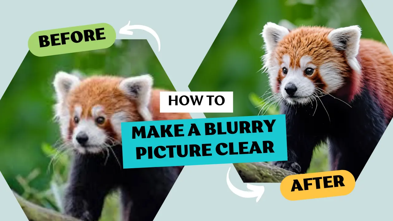 Make A Blurry Picture Clear