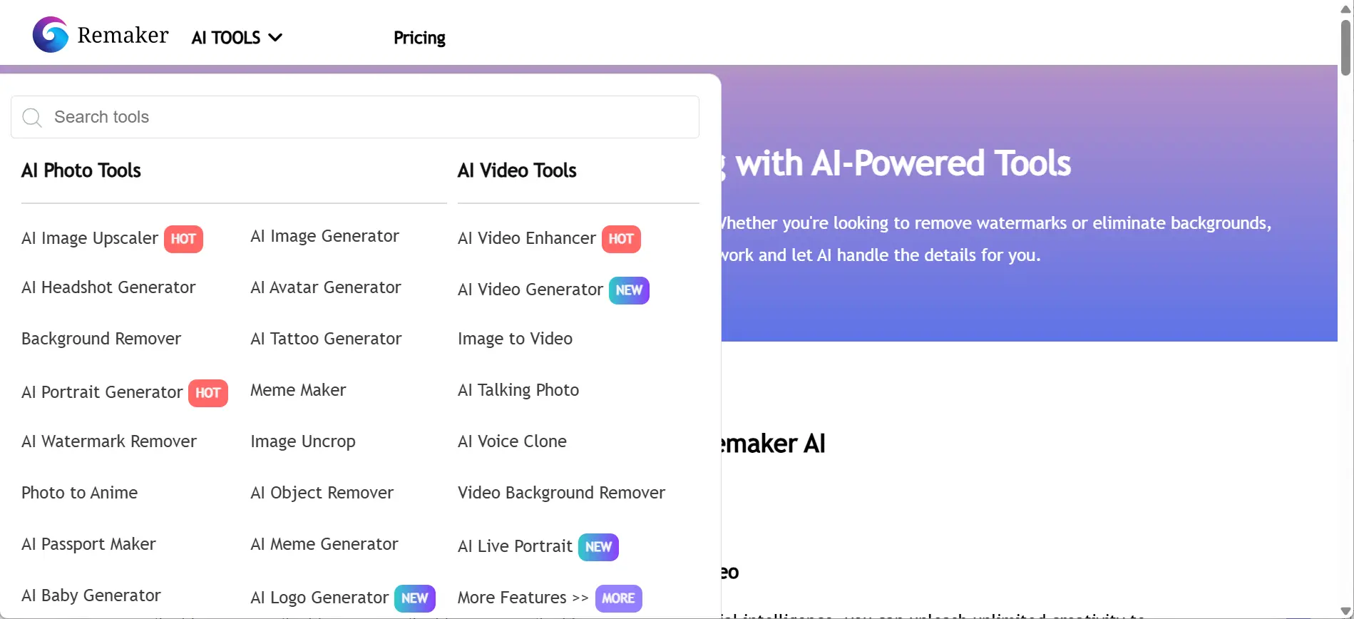More features from remaker ai